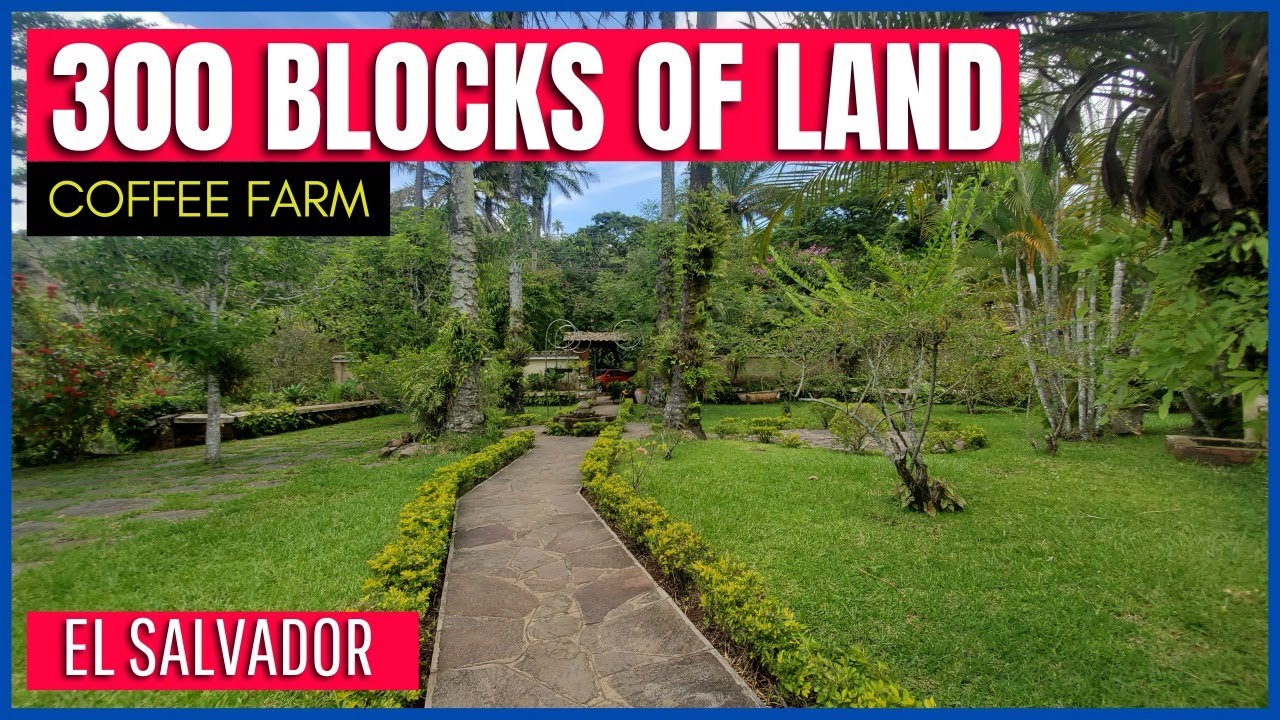 WITHIN A FARM OF 300 BLOCKS OF LAND FOR SALE IN EL SALVADOR YouTube