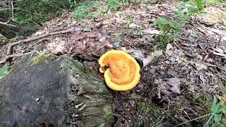 Trip To Minnewaska Park