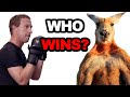 Ranking Which Animals A Human Can Beat in a Fight | VOICE OF MMA