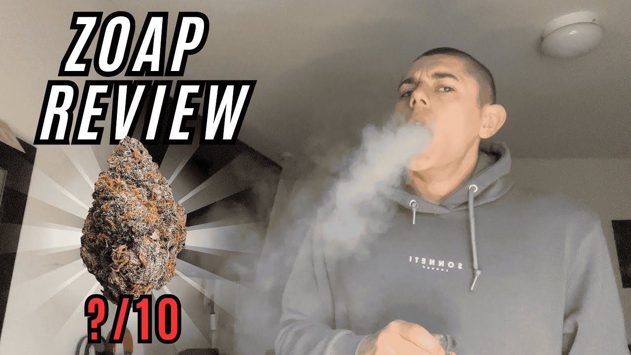 ZOAP Strain Review! | TOKE or CHOKE