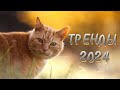 🩷Танцуй если знаешь этот тренд 2024 года🩷