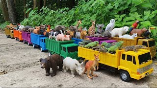 WADIDAU‼️Truk Tronton Oling Menggila Mengangkut Sapi Lucu,Buaya,Ayam lucu,Kerbau,Sapi Warna warni