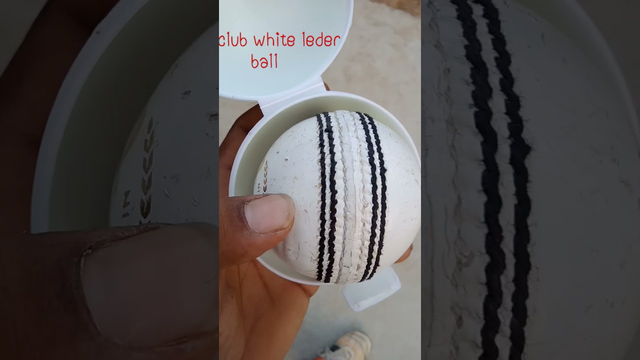 sg white leather cricket ball 