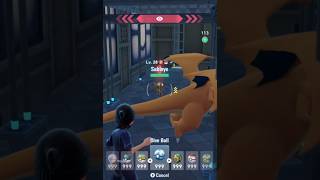 Ohh shiny Sableye (dont ask me why I have 999 balls) - Legends Z-A
