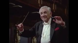 Haydn  Symphony No. 88  Leonard Bernstein, Vienna Philharmonic