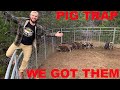 We Caught ALL OF THE PIGS {Catch Clean Cook} Pig Trap At The Ranch