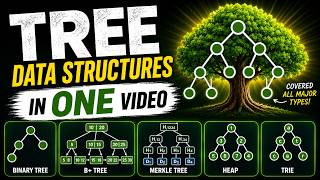 Tree DATA STRUCTURES IN ONE Video