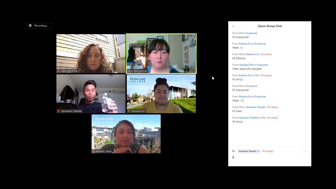 Zoom Features Pinning a Video YouTube