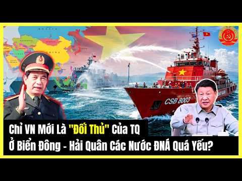 Chỉ VN Mới Là "Đối Thủ" Của TQ Ở Biển Đông - Hải Quân Các Nước ĐNÁ Quá Yếu?
