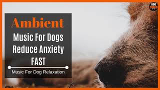 Ambient Music For Dogs - ♫ Reduce Anxiety (FAST)