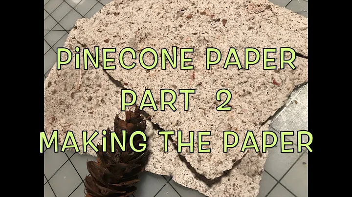 Pinecone Paper Part 2 Making The Paper