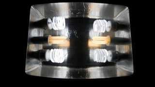 D.I.Y CFL Grow Light