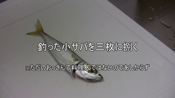 今朝釣った小サバをはさみで頭を落として 指でさばく イワシに比べて身が柔らかいので 少々無理があります 包丁やカッターナイフを使った方が無難 自分で釣た魚を自分で調理して食べれば どんな魚も超美味 Youtube 今朝釣った小サバをはさみで頭を落として 指でさばく イワシに比べて身が柔らかいので 少々無理があります 包丁やカッターナイフを使った方が無難 自分で釣た魚を自分で調理して食べれば どんな魚も超美味 Youtube