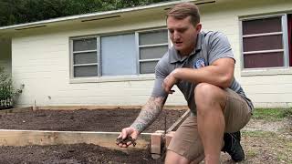 UF DPM - Plant Doctors in Action Episode 2
