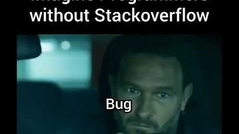 Imagine programmers without Stack overflow