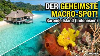 Diving on Saronde Island: Macro Paradise & Whale Sharks in Sulawesi!
