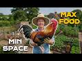We Grew ALL Our Family's Food With 2 Chickens + 3 Crops