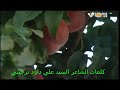 يا وطني يا وطن النور-كلمات الشاعر علي داود ترحيني