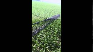 Nitrogen Application at V8 with 360 Y-DROP