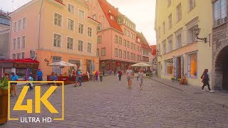 Tallinn Estonia - 4K Urban Walking Tour - Short Preview Video