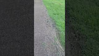 Walking is Relaxing