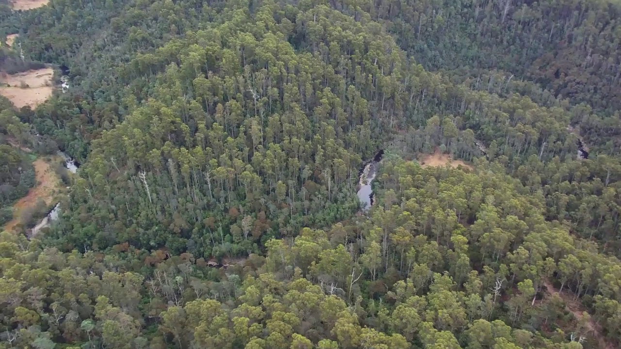 Wandering Foxbat - Emu River Entrenched Meanders