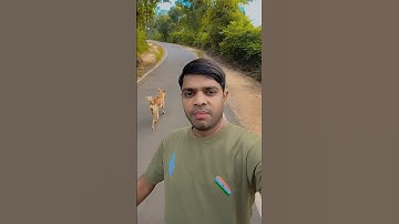 #indianarmy #bollywood #hindisong #nirajpaswan #cobracommando #crpfcobra