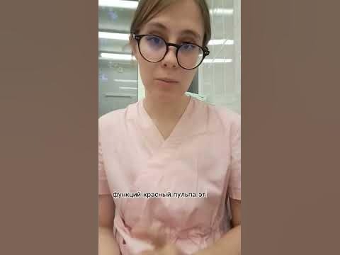 Гистология | Функции селезенки - YouTube