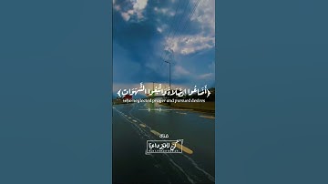 أجمل حالات واتس اب قرآن كريم بصوت جميل جدا❤️😍 Quran Status || وديع اليمني