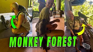 Monkeys Take a Liking to Lady in Sacred Monkey Forest