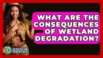 What Are the Consequences of Wetland Degradation? - Ecosystem Essentials