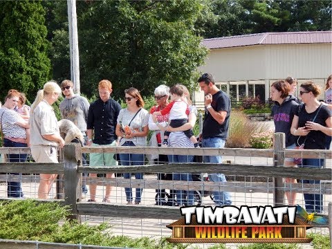 wisconsin dells camping Timbavati Wildlife Park Keeper Talks: Ant Eater