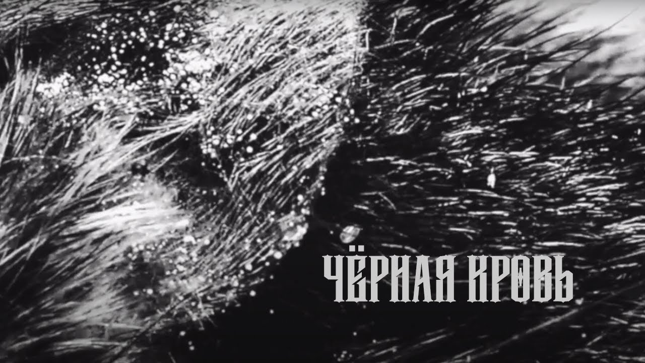 Чёрная Кровь | MOROKH
