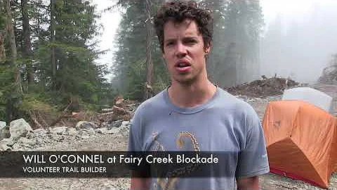 Upper Fairy Creek Blockade