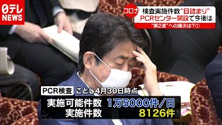 【検証】「新型コロナ」“PCR検査”なぜ不足した？（2020年7月8日放送「news every.」より）