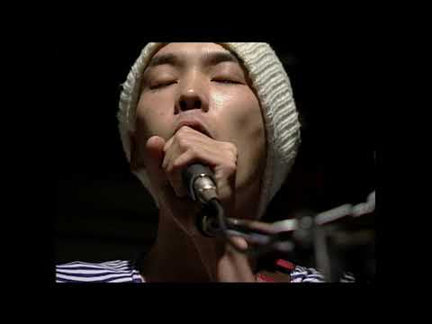 Analogfish - Magic