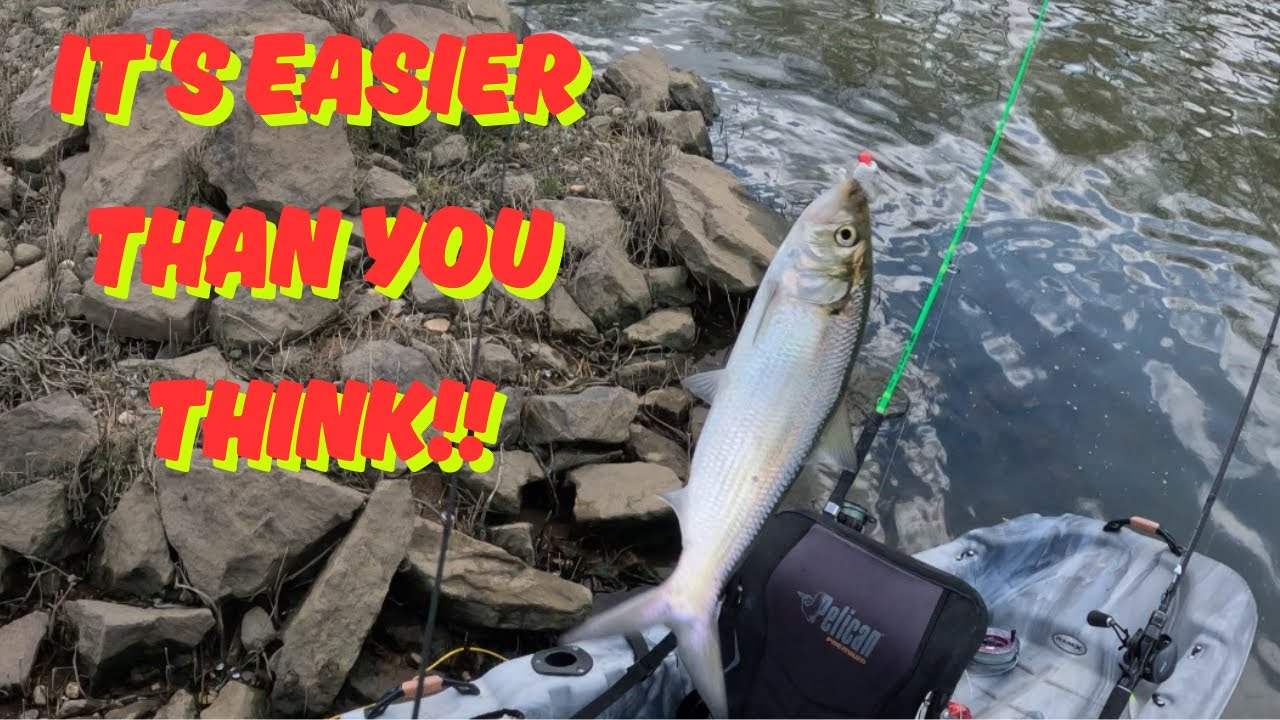 Nonstop bait catching action! What I use and where to find them.