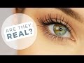 ALL ABOUT MY EYES & LASHES!! | ALLIE G BEAUTY