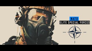 NATO || Elite Special Forces