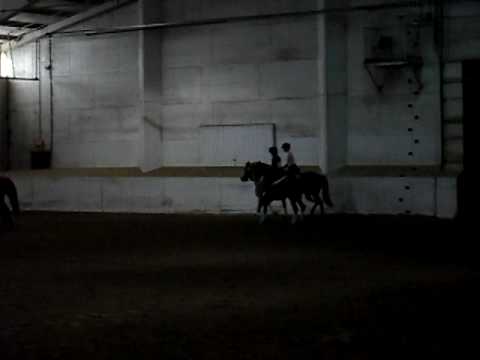 Ribbon Ride with Sarah Towle