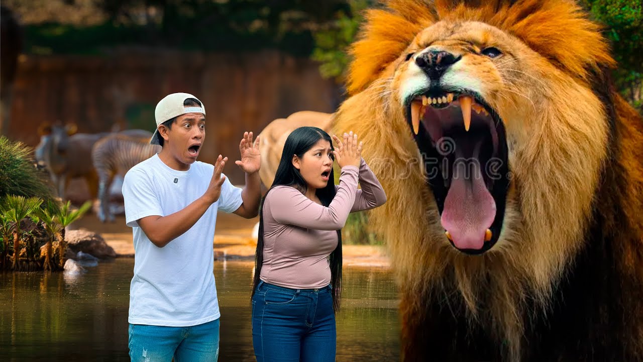 Lleve a un zoológico a  NATHALIA para reconquistarla