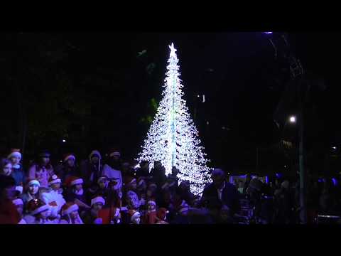 Grevena TV ||Αναμμα Χριστουγεννιάτικου Δέντρου Γρεβενά  Γ Δασταμανης