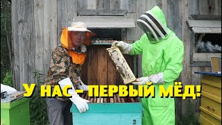 Первый мёд от наших пчёл и другие подарки на день рождения!