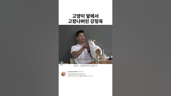 고양이 앞에서 고장나버린 강형욱