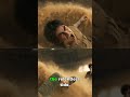 Gaara’s True Power Awakens Against Rock Lee! #rockleevsgaara