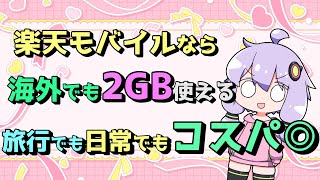 楽天モバイルの海外ローミング設定方法！高額請求を避けるポイント