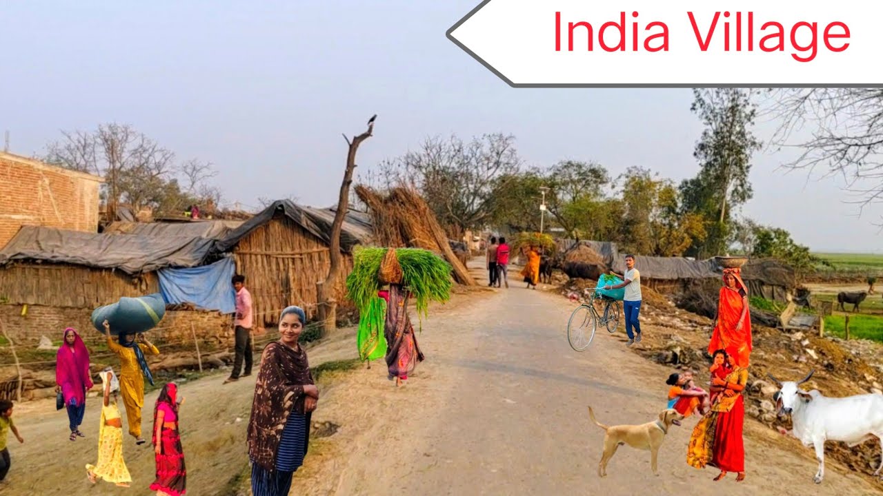 India,s Realty: Is This The India Of India 🇳🇪 || Hardships And Happiness : India Uttar Pradesh 