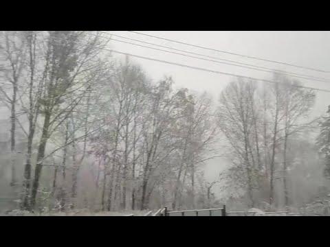 Снегопады на севере Приморского края. Посёлок Восток засыпало снегом. 5 октября 2020 года.