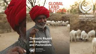 UNCCD Executive Secretarys statement | Launch GLO Thematic Report on Rangelands and Pastoralists
