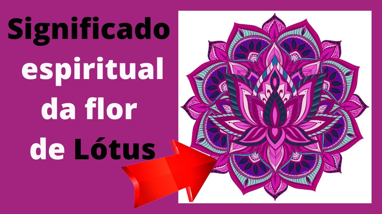 Qual o significado da flor de lótus -Lotus - Lótus | Flor de lótus ...
